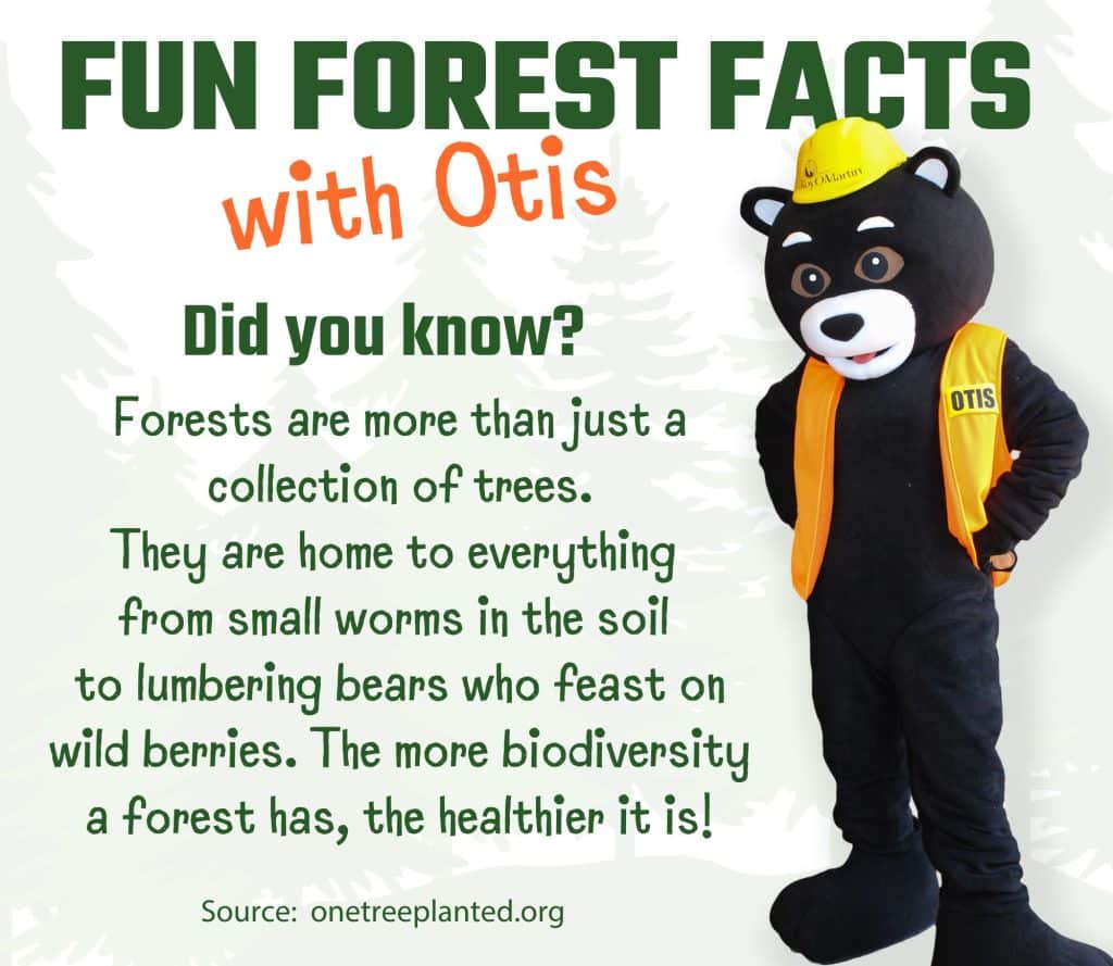 BIODIVERSITY