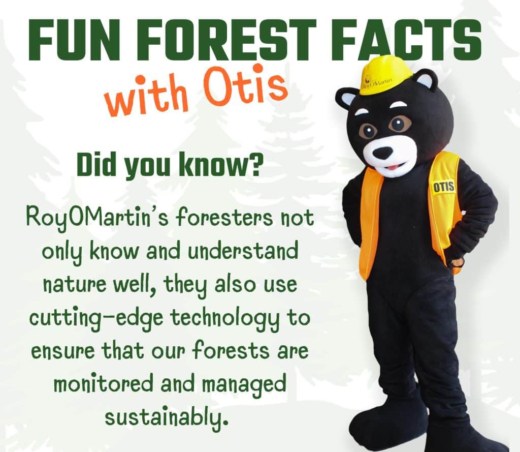 ROM FORESTERS