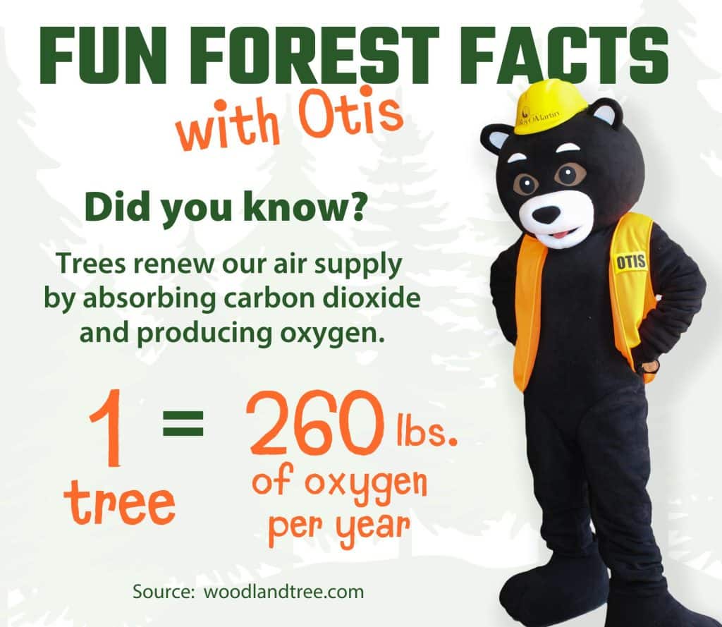 TREES AND OXYGEN