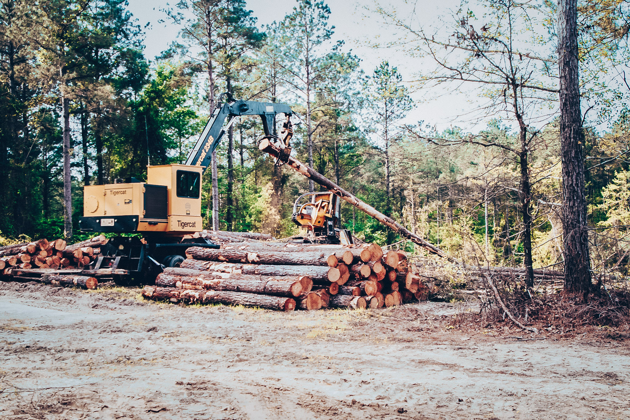Logging-2