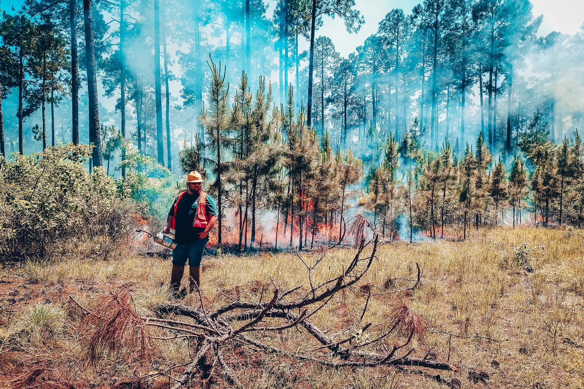 Prescribed Burn-2