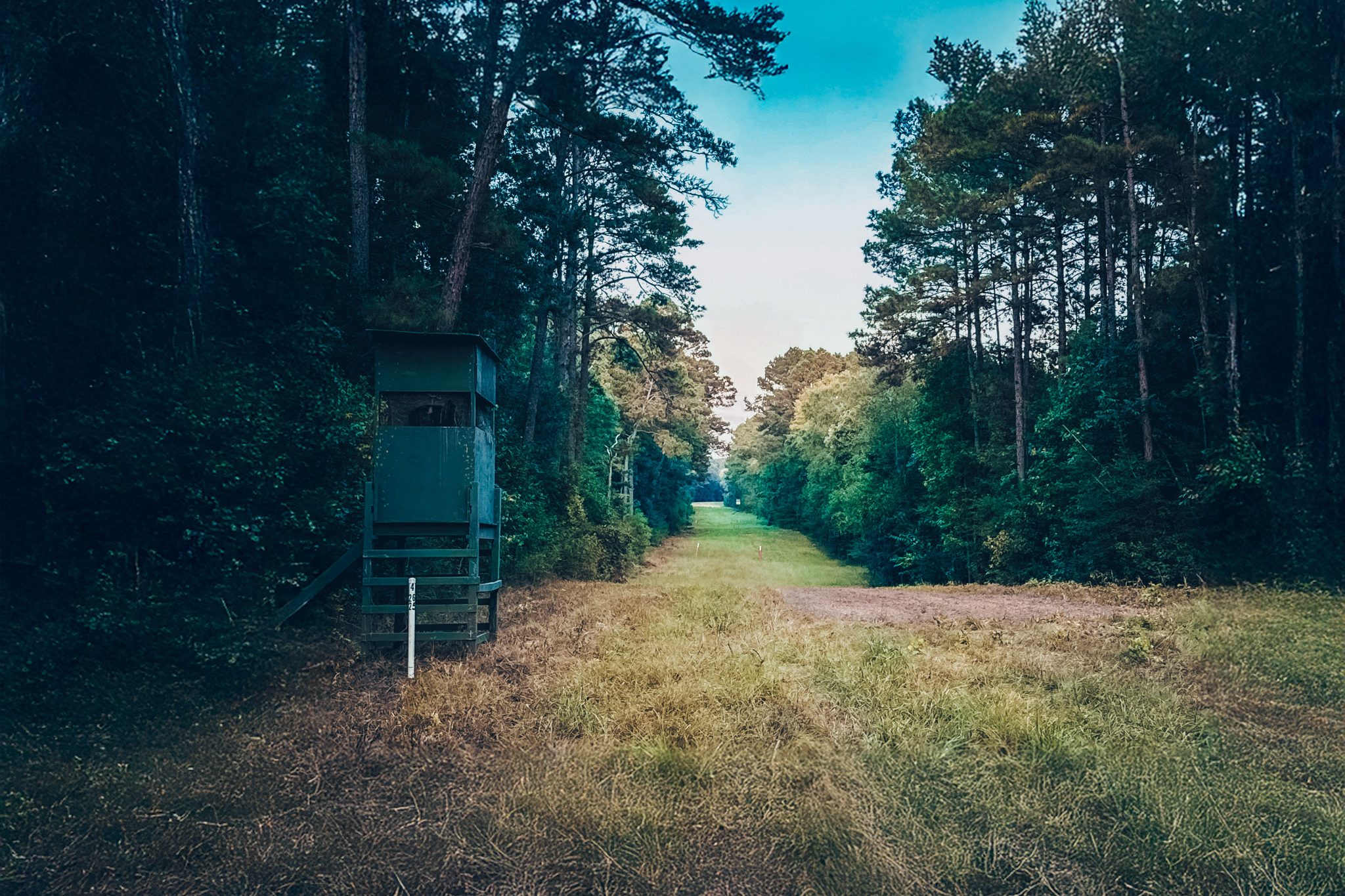 Provost Deer Stand Landscape-Edit