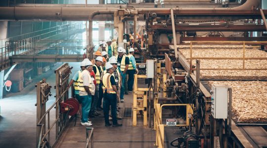 American Loggers Council