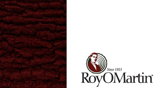 2022-Q3-Board-Brief_cropped