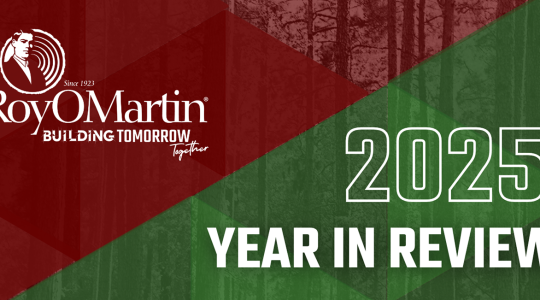 2025 YEAR IN REVIEW web image