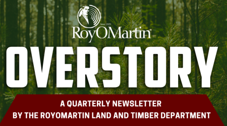 Overstory header (1285x470)