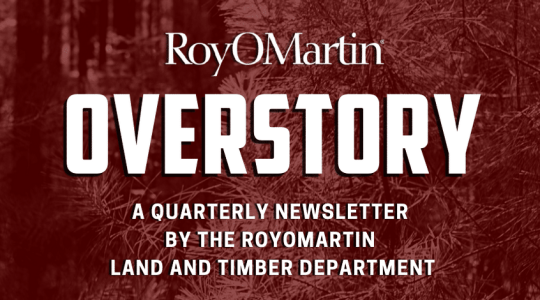 Overstory thumbnail website e1687278417721