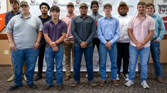 WW new hires